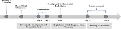 A phase I dose-escalation study of neoantigen-activated haploidentical T cell therapy for the treatment of relapsed or refractory peripheral T-cell lymphoma